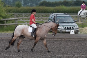 ISIS Dressage Challenge 2008